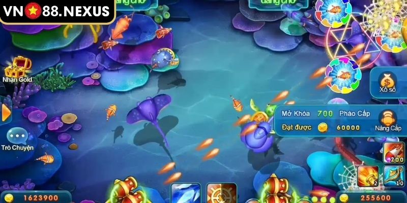 Quan sát đường đi của boss