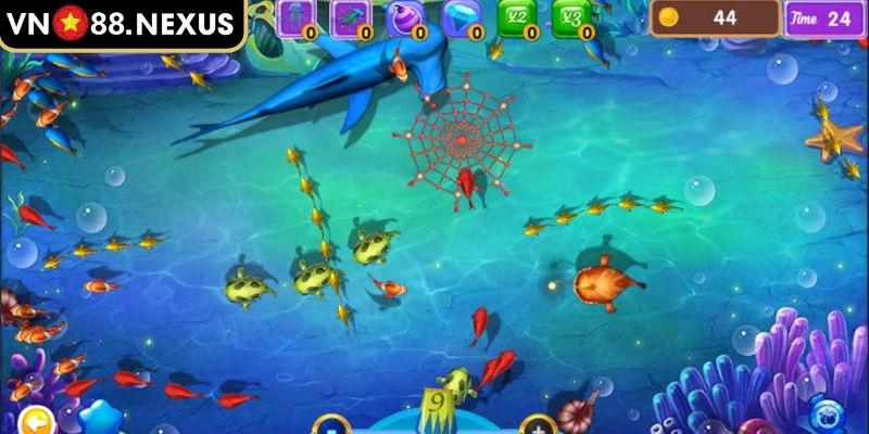 Hệ thống sinh vật biển phong phú có giá trị thưởng cao